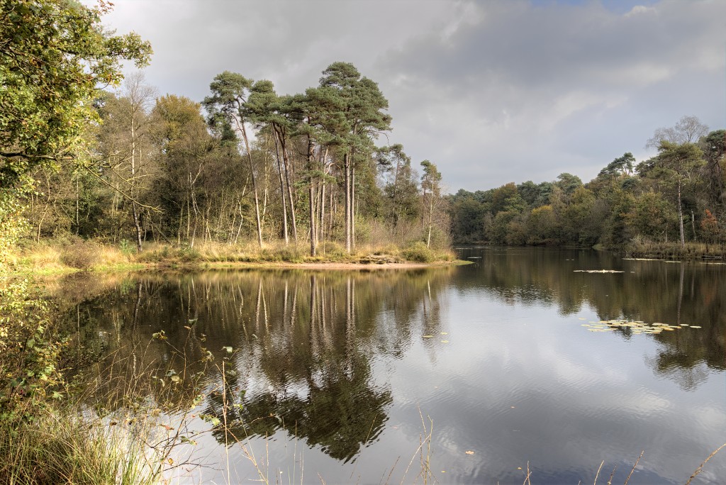 Oisterwijkse Bossen en Vennen Kampina natuurgebied natuur oisterwijk Nationaal park Landschap Het Groene Woud hei heide bossen natuurmonumenten brabant baronie boswachterij dorst